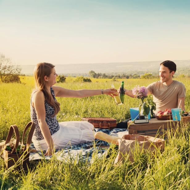 Eine Gruppe von Freunden macht ein Picknick in einer Wiese und stößt mit Getränken an.