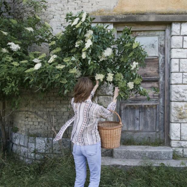 Eine Frau pflückt Holunderblüten vor einem alten Haus mit einem Korb.