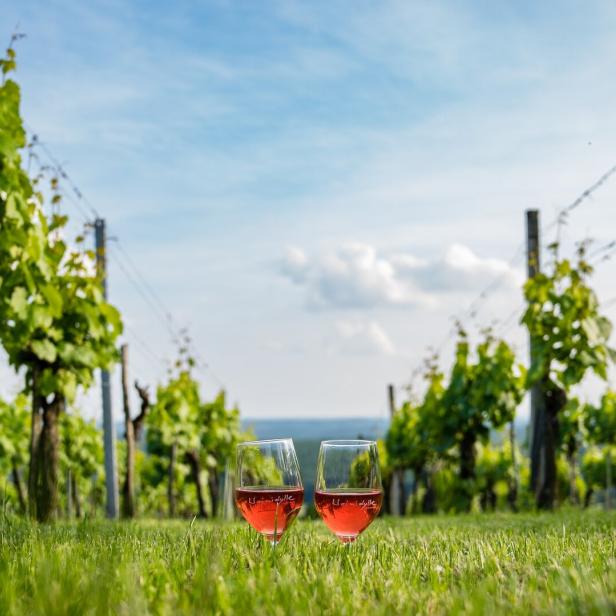 Zwei Gläser Uhudlerwein stehen im Gras zwischen Reben unter blauem Himmel.