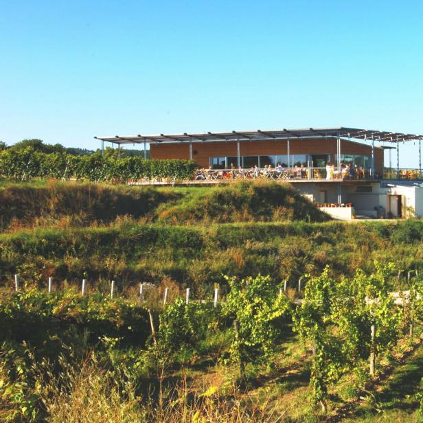 Die Weinbeisserei in Mollands liegt inmitten eines Weinbergs.