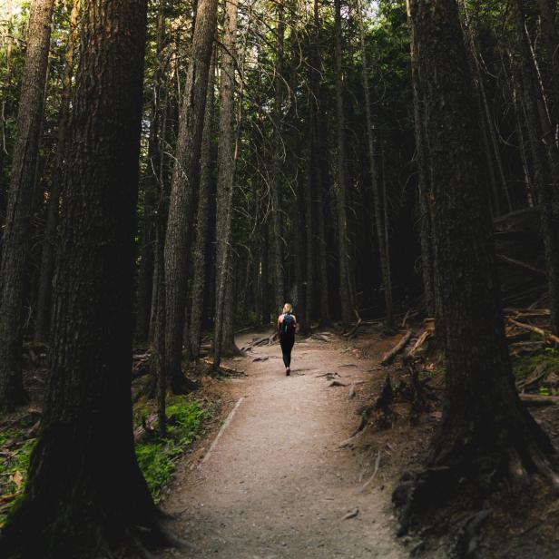 Eine Frau wandert mit einem Rucksack durch einen dichten Wald.