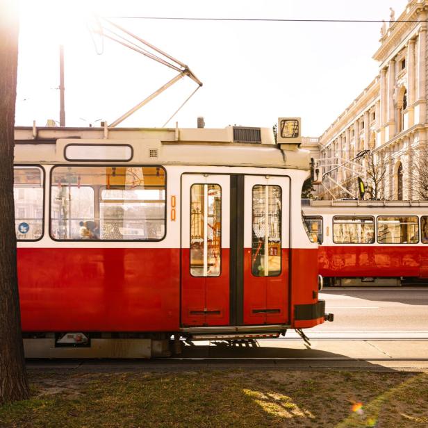 Der Steffl hat den Fenstergucker, der Strudel seinen Apfel – und Wiens Straßen haben ihre Tramway.