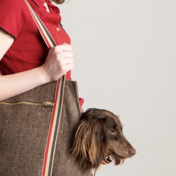 Eine Frau trägt eine braune Handtasche mit einem Dackel darin.
