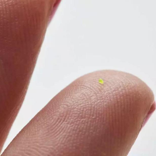Die „Louis Vuitton Microscopic OnTheGo“ von MSCHF auf einer Fingerspitze.