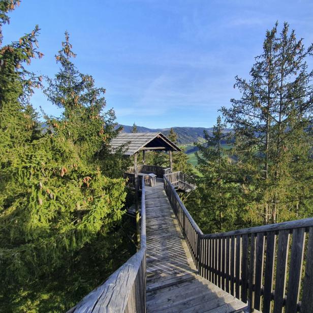 Ein hölzerner Aussichtsturm in Rachau mit Blick auf die grüne Landschaft.