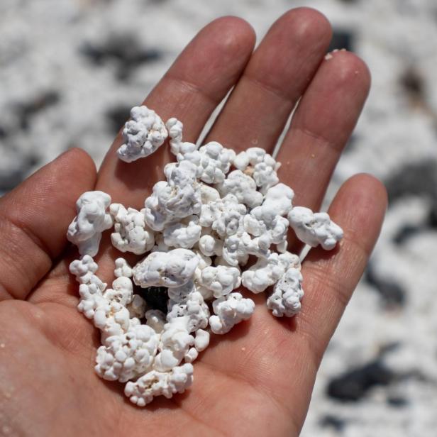Eine Hand hält Stücke von „Popcorn-Strand“.
