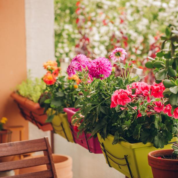 Blumenkästen mit bunten Blumen schmücken einen Balkon.