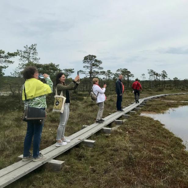 Eine Gruppe von Menschen spaziert auf einem Holzsteg durch eine Moorlandschaft.