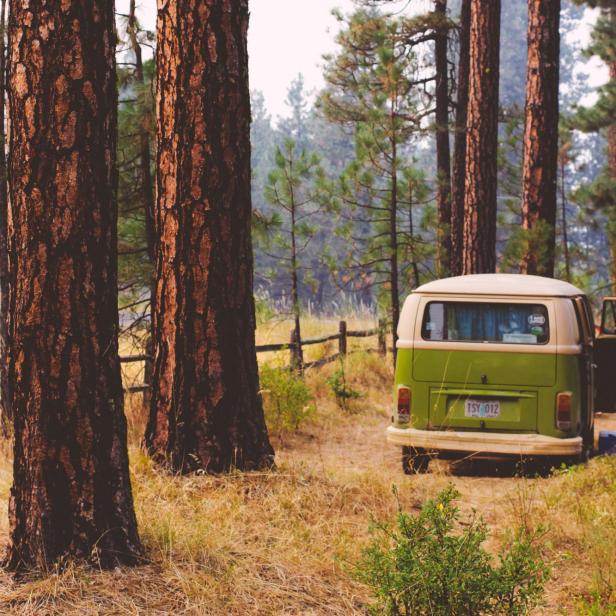 Ein grüner VW-Bus steht auf einem Campingplatz im Wald.