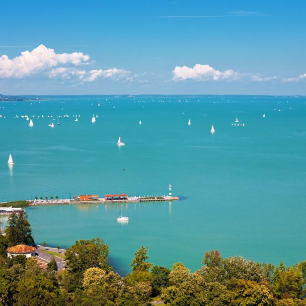 Blick auf den Balaton mit zahlreichen Segelbooten auf dem türkisfarbenen Wasser.