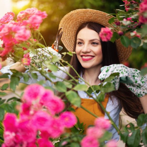 Eine Frau mit Hut und Gartenhandschuhen schneidet Rosen im Garten.