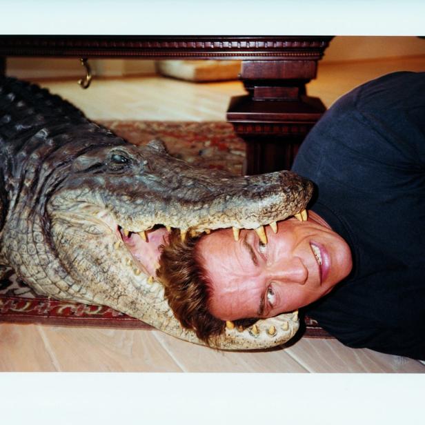 Arnold Schwarzenegger liegt mit seinem Kopf im Maul eines Alligators.