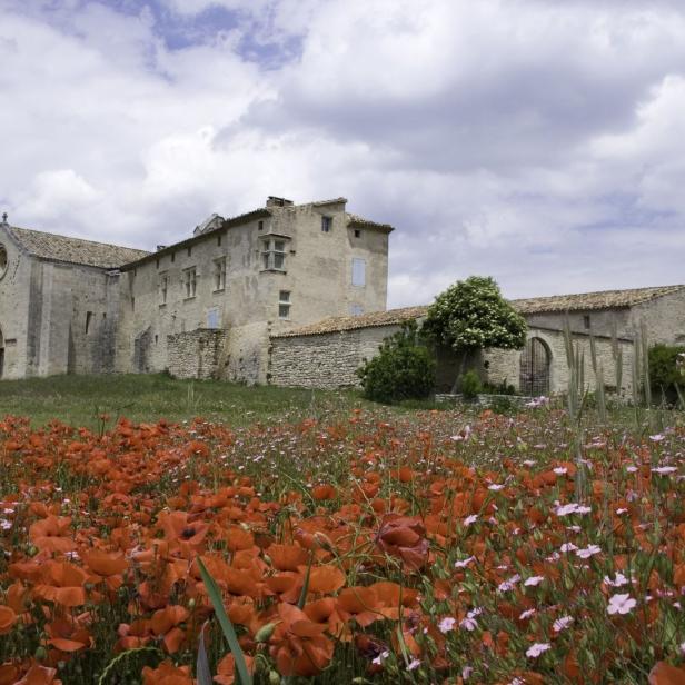 Ein Feld mit roten Mohnblumen vor einem alten Steingebäude.