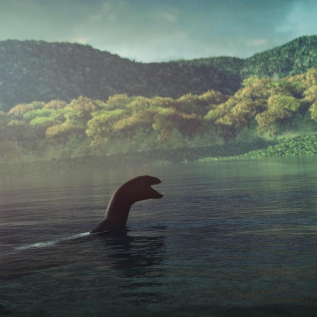 Das Monster von Loch Ness schwimmt in einem See.