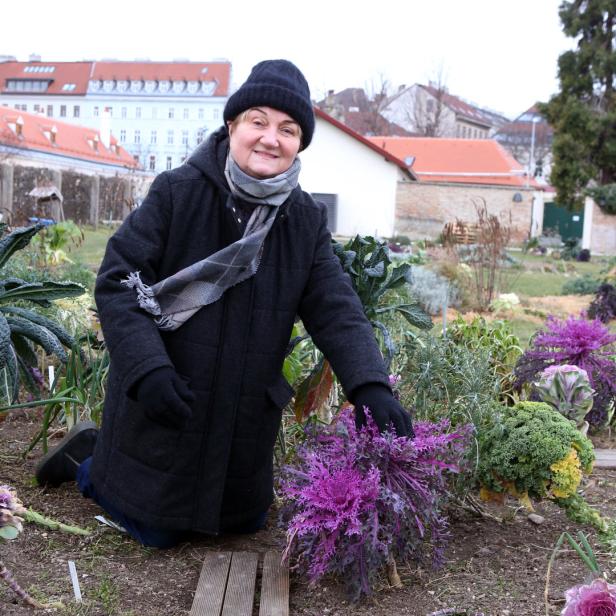 Eine Frau kniet in einem Garten mit Zierkohl und anderen Pflanzen.