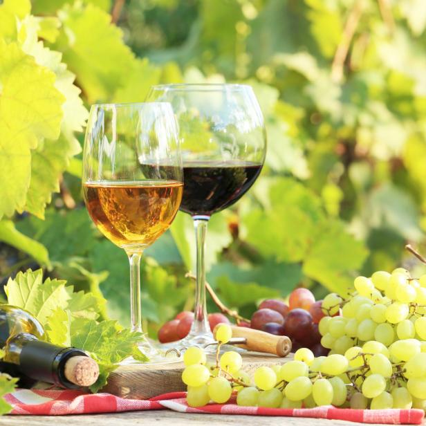 Zwei Gläser Wein und Trauben stehen auf einem Holztisch vor Weinreben.