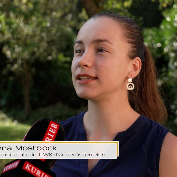 Johanna Mostböck, Innovationsberaterin LWK-Niederösterreich