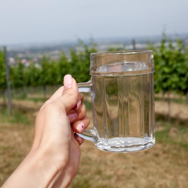 Eine Hand hält ein Glas Wasser vor einem Weinberg.