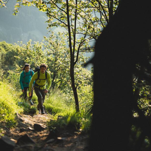 Ein Mann und eine Frau wandern mit Rucksäcken auf einem Pfad durch einen grünen Wald.