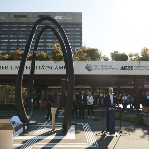 ++ HANDOUT ++ "CORONA-DENKMAL DER HOFFNUNG" BEIM WIENER AKH ENTHÜLLT