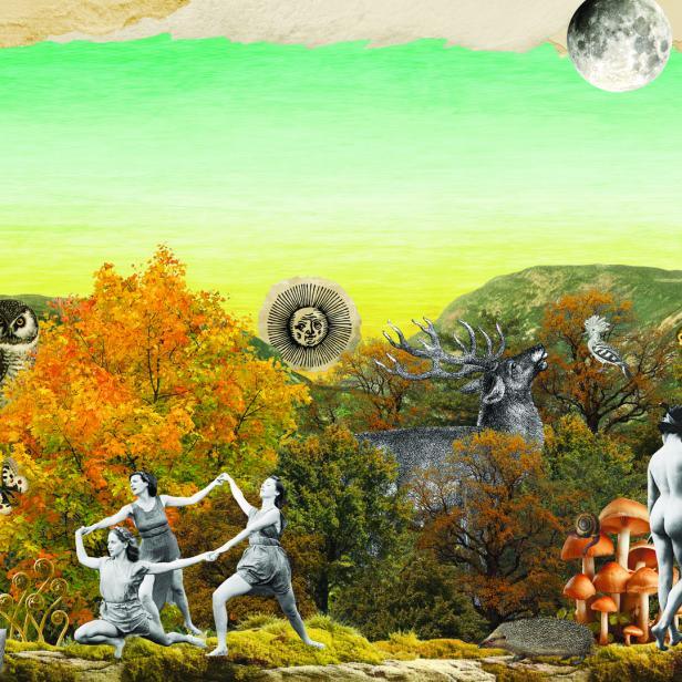 Eine Collage mit tanzenden Frauen, Tieren und Pflanzen in einer Waldlandschaft.