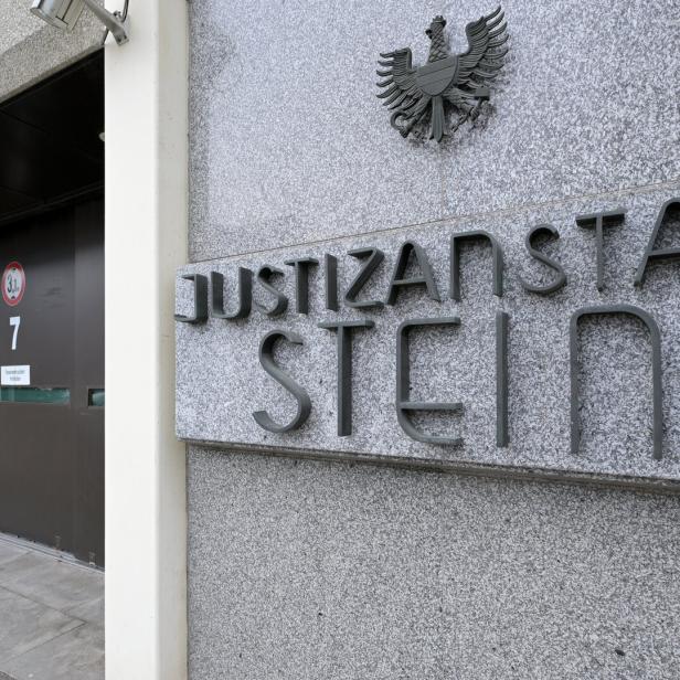 Geflüchteter Stein-Häftling: "Handlanger" erhält 20 Monate Haft