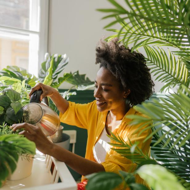 Eine Frau mit Afro gießt Zimmerpflanzen mit einem Wasserkocher.