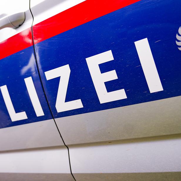 Symbolbild Polizeiauto