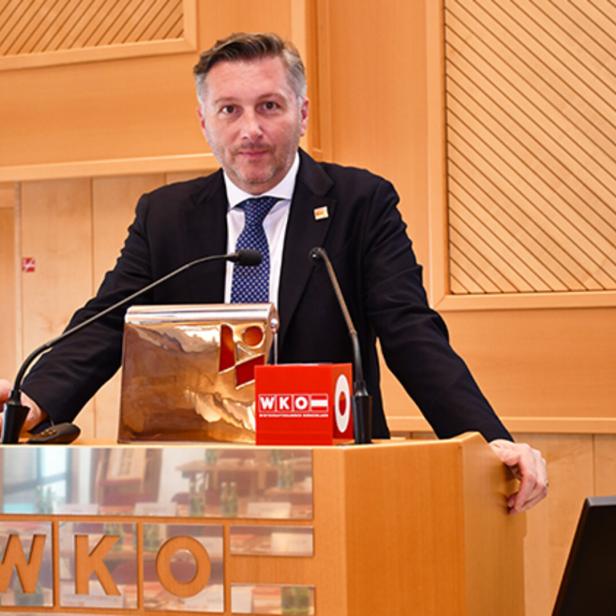 Ein Mann im Anzug steht an einem Rednerpult mit Mikrofonen und spricht in einem holzvertäfelten Raum.