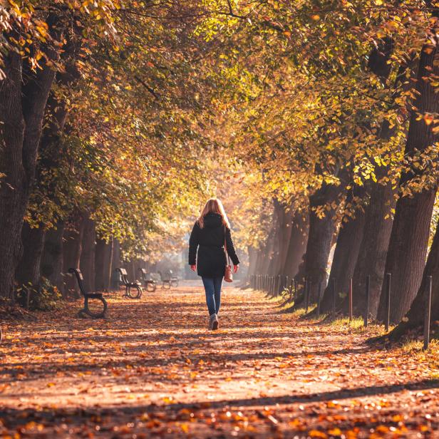 Eine Frau geht einen von Bäumen gesäumten Weg entlang, der mit Herbstlaub bedeckt ist.