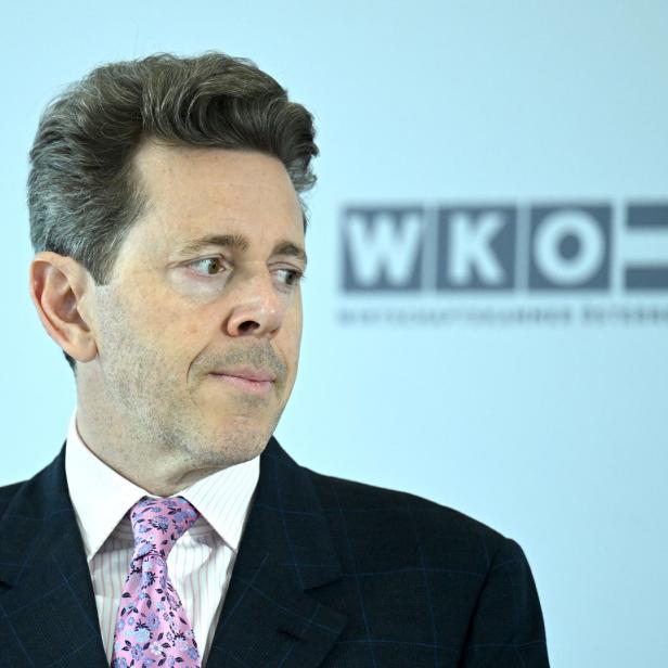 Ein Mann im Anzug blickt vor dem Hintergrund des WKO-Logos nach rechts.