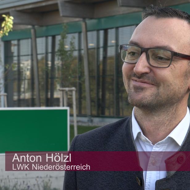 Anton Hölzl, Landwirtschaftskammer Niederösterreich 
