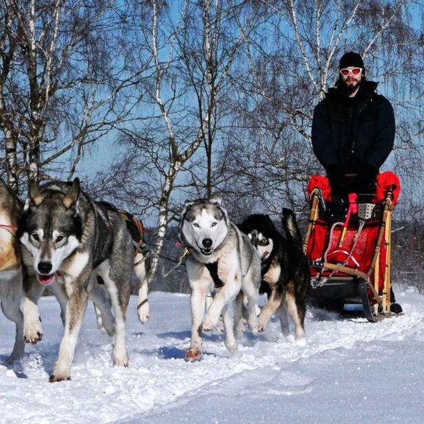 Ein Mann fährt einen von mehreren Huskys gezogenen Schlitten durch eine verschneite Landschaft.