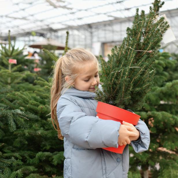 Ein Kind umarmt einen kleinen Weihnachtsbaum im Topf.