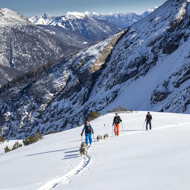 Bergpanorama Skitour mit Huskys im Lechtal bei Sonnenschein im Schnee