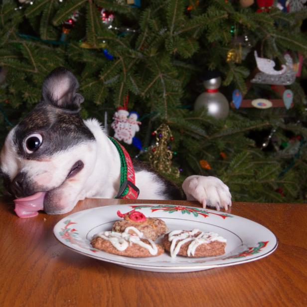 Ein Hund leckt sich über die Lippen, während er auf einen Teller mit Weihnachtsplätzchen schaut.