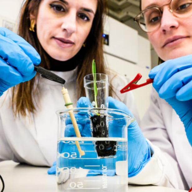 Für die eSoil ist nur minimaler Strom nötig. Für die eSoil ist nur minimaler Strom nötig.