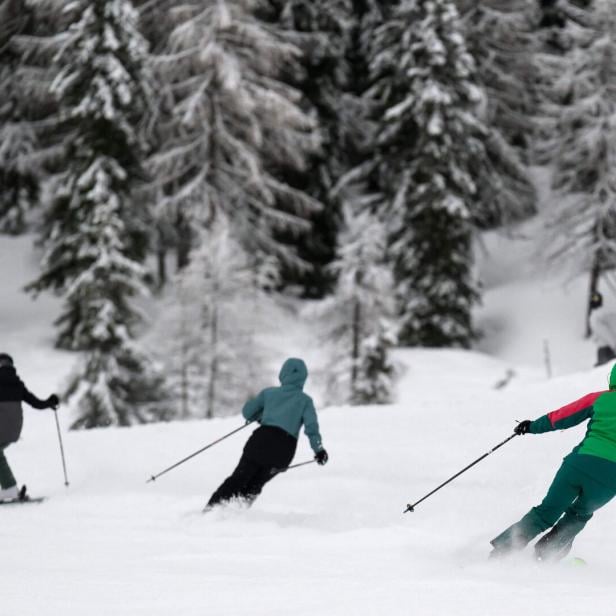 Skifahrer fahren auf einer schneebedeckten Piste zwischen Bäumen.