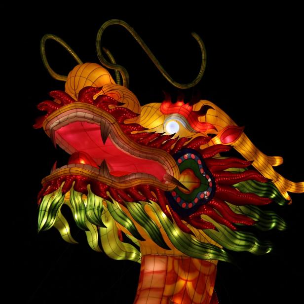 Der Kopf eines leuchtenden, farbenfrohen chinesischen Drachen vor schwarzem Hintergrund.