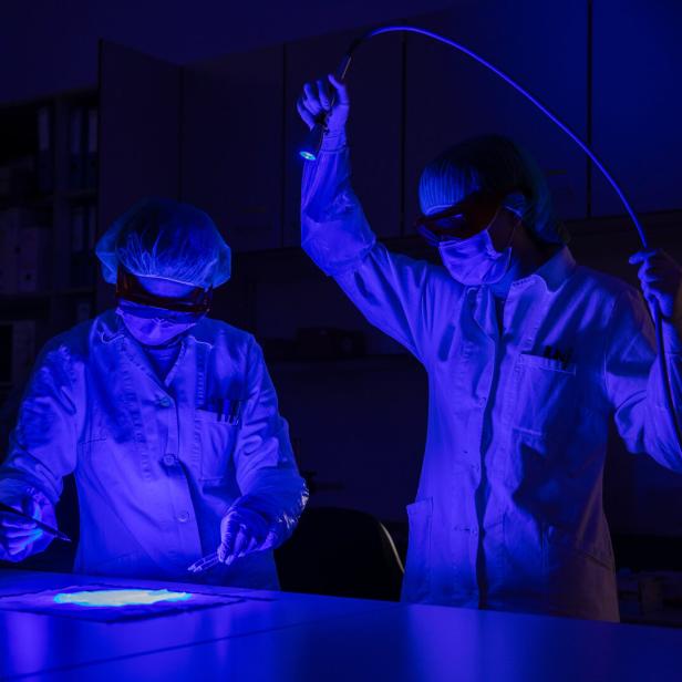 Gerichtliche Medizin Innsbruck (GMI)