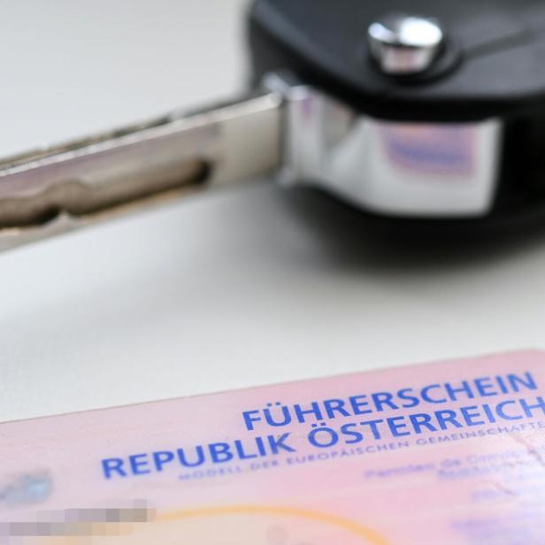 ++ THEMENBILD ++ SCHECKKARTENFÜHRERSCHEIN / FÜHRERSCHEIN
