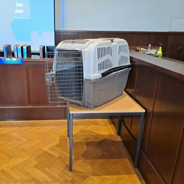 Prozess um Bub in Hundebox in NÖ: "Es war klar, dass er Hilfe braucht"