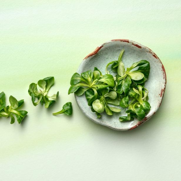 Feldsalat liegt in einer Schale und daneben auf einem hellgrünen Hintergrund.