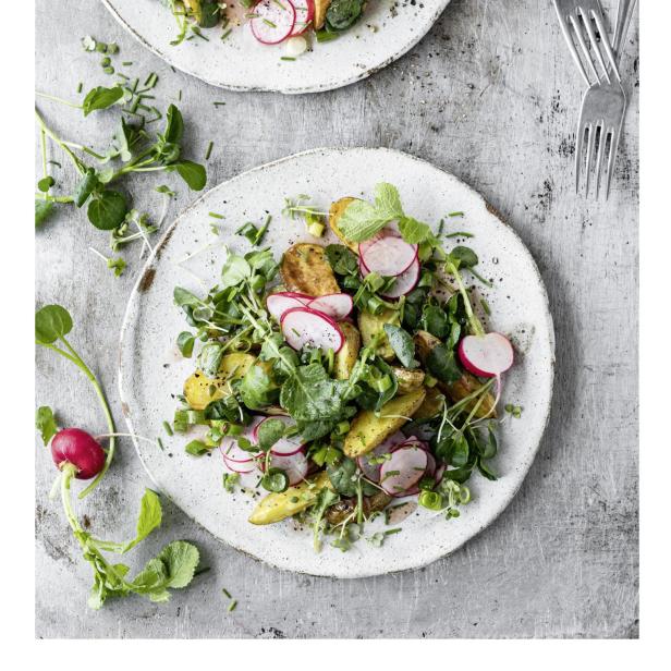 Ein Kartoffelsalat mit Radieschen und Brunnenkresse auf zwei Tellern angerichtet.