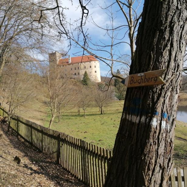 Schloss Buchberg am Kamp, im Vordergrund Wiesen, Bäume und ein Teich.