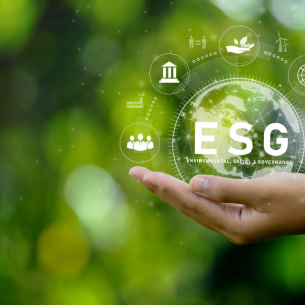 Nachhaltig investieren: Die Einhaltung von ESG-Kriterien bekommt immer mehr Gewicht