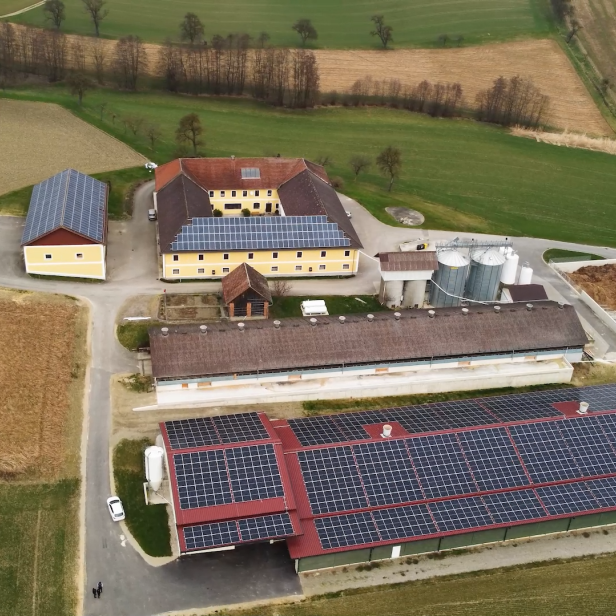 Wir leben Landwirtschaft Folge 7: Tierwohl in der Landwirtschaft
