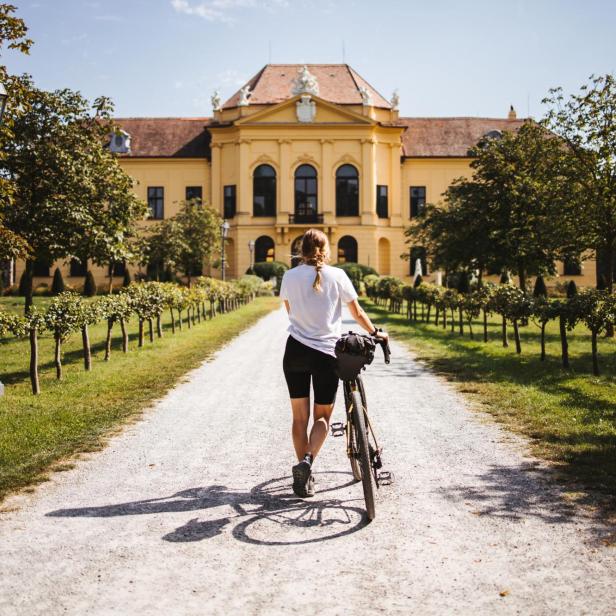 Die besten Radtouren in Niederösterreich: Geheimtipps von Locals