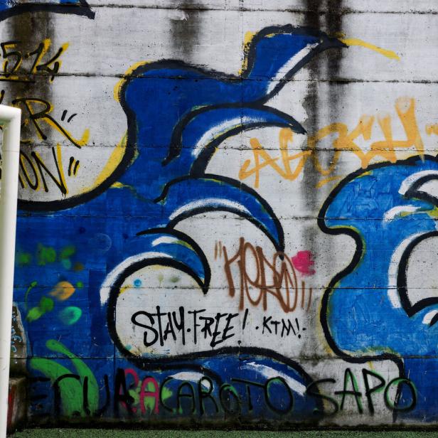 Wien, Nö: Tirol: 15-Jährige verursachen 75.000 Euro Schaden durch Graffiti
