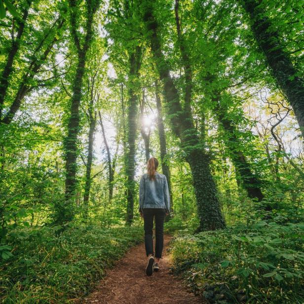 Ein Spaziergang in der Natur.
